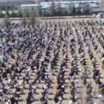 A Degree of Controversy: Mullah Exams Spark Concerns in Afghan Higher Education