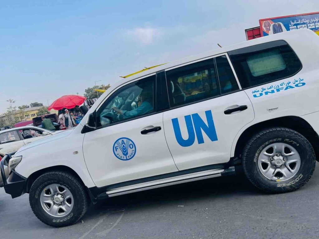 UN expert report on human rights