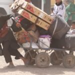 افغان٬ افغاني او افغانستاني د تاریخ له نظره - 6