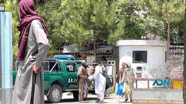 Afghanistan Four Years On: Repression, Return, and a Deepening Crisis