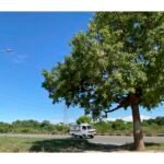 CONTENT-HUMAN-RIGHT-SITUATION-IN-PAKISTAN-KPK