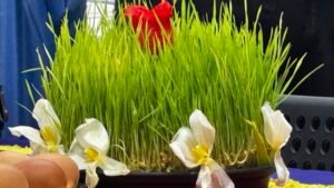 نوروز ۱۴۰۵ در ویانا