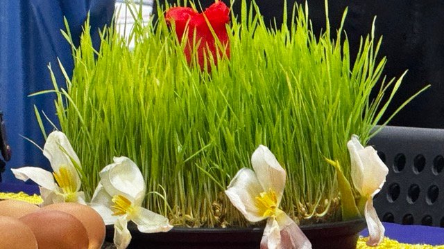 نوروز ۱۴۰۵ در ویانا