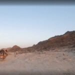 Afghans on the Run Through Irregular Migration Routes Medium