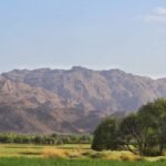 Beyond Security: Why Chinese Personnel Remain Targets in Pakistan