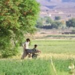 MAN2_Government_negligence_and_unequal_distribution_are_aggravating Medium