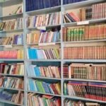 The Poisonous Snake on the Tongue: Pragmatics, Neuro-Politics, and Subversive Morphometry of the Afghan Landay in the Mirman Baheer Circle