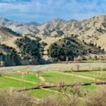 The Durand Line’s Missing History
