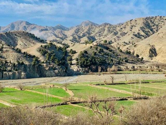The Durand Line’s Missing History